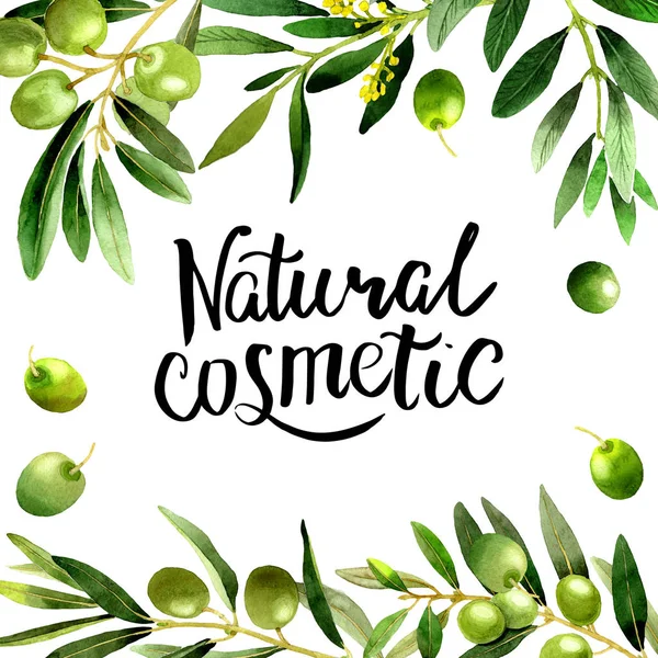 Zeytin ağacı çerçeve izole bir suluboya tarzında.