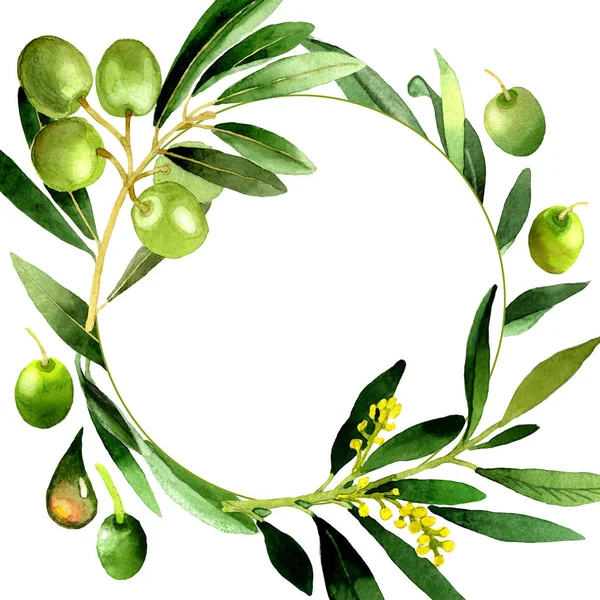 Вінок з оливкового дерева в акварельному стилі ізольований . — стокове фото