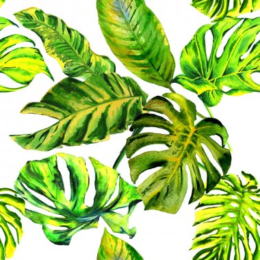 Tropikal Hawaii palmiye ağacı desen izole bir suluboya tarzında bırakır..