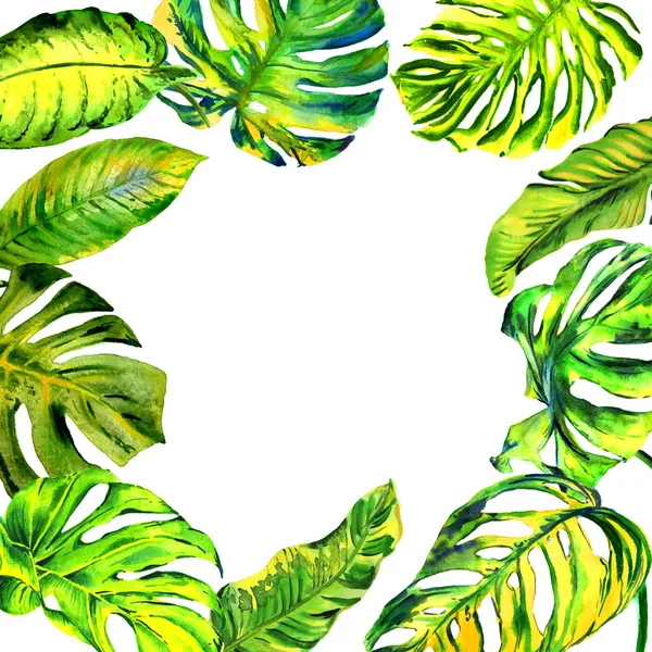 Trópusi Hawaii levelek palm fa keret elszigetelt akvarell stílusú. — Stock Fotó