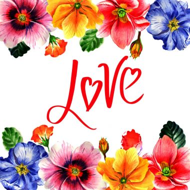 Kır çiçeği çuha çiçeği çiçek çerçeve izole bir suluboya tarzında.