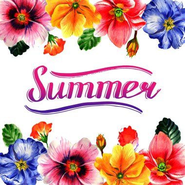 Kır çiçeği çuha çiçeği çiçek çerçeve izole bir suluboya tarzında.