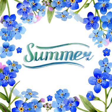 Kır çiçeği myosotis arvensis çiçek çerçeve izole bir suluboya tarzında.