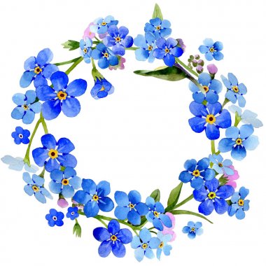 Kır çiçeği myosotis arvensis çiçek çelenk izole bir suluboya tarzında.