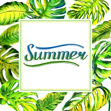 Tropikal Hawaii palmiye ağacı çerçeve izole bir suluboya tarzında bırakır..