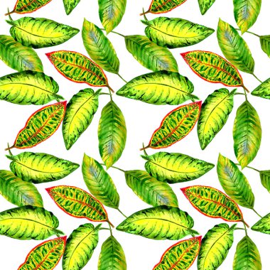 Tropikal Hawaii palmiye ağacı desen izole bir suluboya tarzında bırakır..