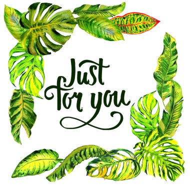 Tropikal Hawaii palmiye ağacı çerçeve izole bir suluboya tarzında bırakır..