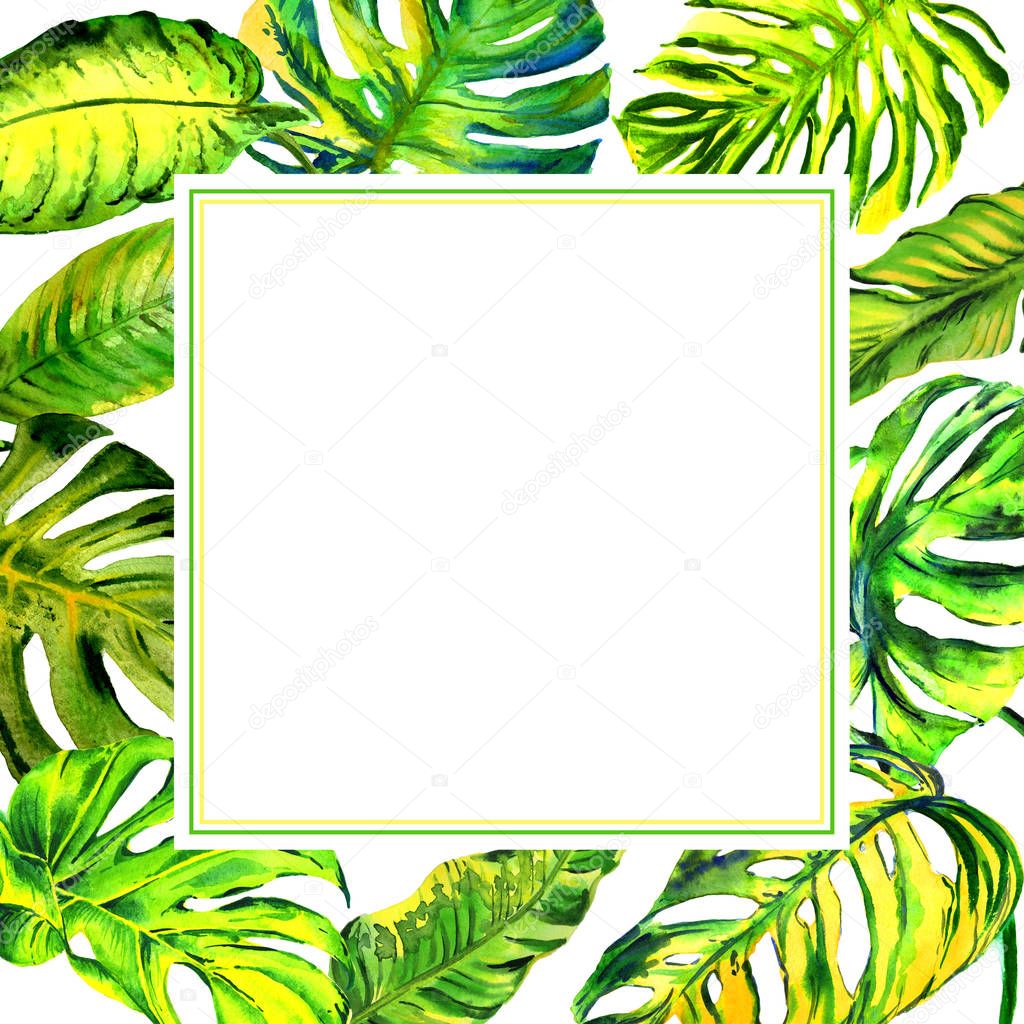 Tropical Hawaii leaves palm tree frame in a watercolor style isolated.