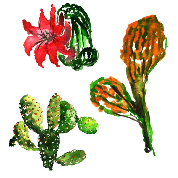 Tropických kaktusů strom ve stylu akvarelu, samostatný. — Stock fotografie