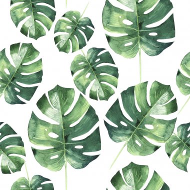 Tropikal Hawaii palmiye ağacı desen izole bir suluboya tarzında bırakır..