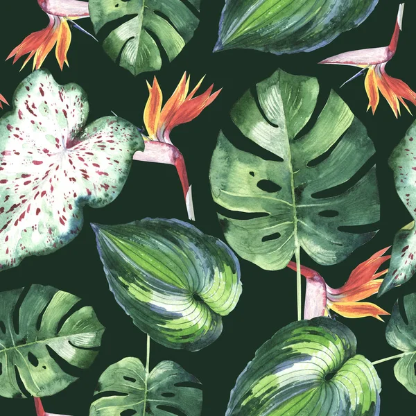 열 대 하와이 절연 수채화 스타일에서 팜 트리 패턴을 나뭇잎. — 스톡 사진