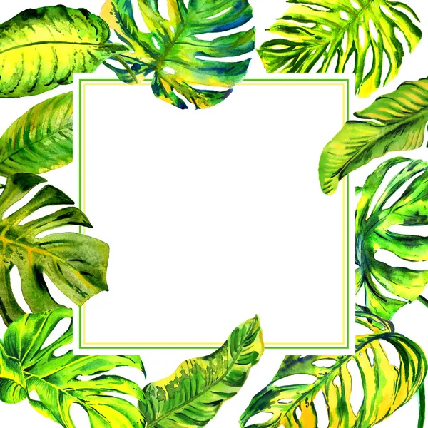 열 대 하와이 절연 수채화 스타일에서 팜 나무 프레임을 나뭇잎. — 스톡 사진