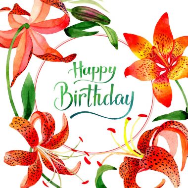 Kır çiçeği leopar lily çiçek çerçeve izole bir suluboya tarzında.