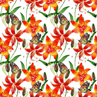 Kır çiçeği leopar lily çiçek deseni izole bir suluboya tarzında.