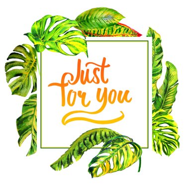 Tropikal Hawaii palmiye ağacı çerçeve izole bir suluboya tarzında bırakır..