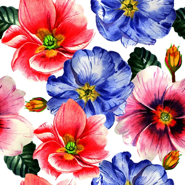 Патерн квітки дикої квітки Primrose в акварельному стилі ізольовано . — стокове фото