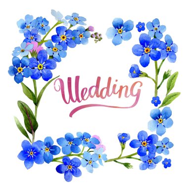 Kır çiçeği myosotis arvensis çiçek çerçeve izole bir suluboya tarzında.
