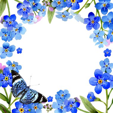 Kır çiçeği myosotis arvensis çiçek çerçeve izole bir suluboya tarzında.