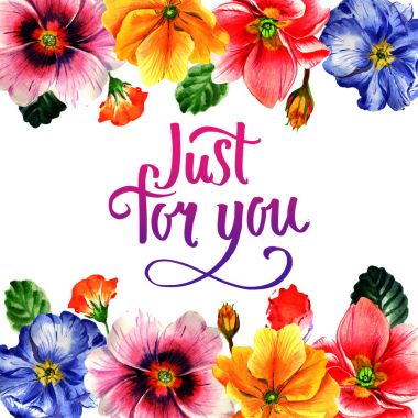 Kır çiçeği çuha çiçeği çiçek çerçeve izole bir suluboya tarzında.