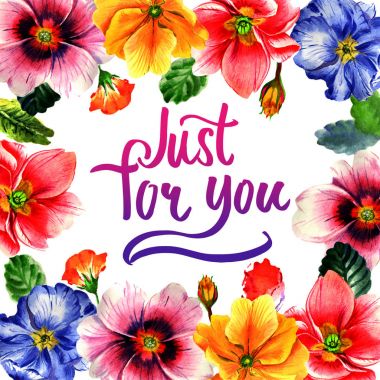 Kır çiçeği çuha çiçeği çiçek çerçeve izole bir suluboya tarzında.