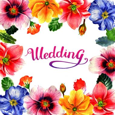 Kır çiçeği çuha çiçeği çiçek çerçeve izole bir suluboya tarzında.