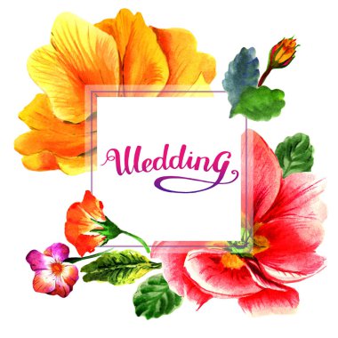 Kır çiçeği çuha çiçeği çiçek çerçeve izole bir suluboya tarzında.