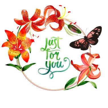 Kır çiçeği leopar lily çiçek çerçeve izole bir suluboya tarzında.