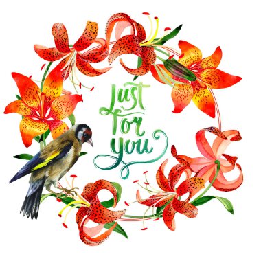 Kır çiçeği leopar lily çiçek çelenk izole bir suluboya tarzında.