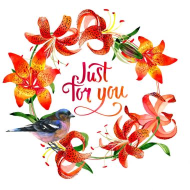 Kır çiçeği leopar lily çiçek çelenk izole bir suluboya tarzında.