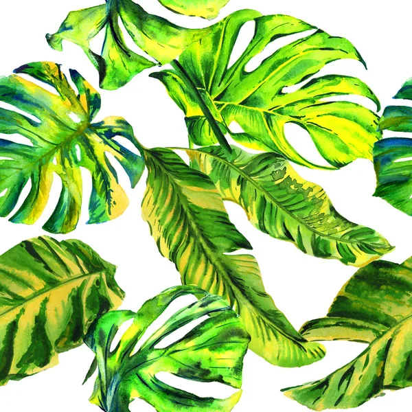 Tropical Hawaii laisse le modèle de palmier dans un style aquarelle isolé . — Photo