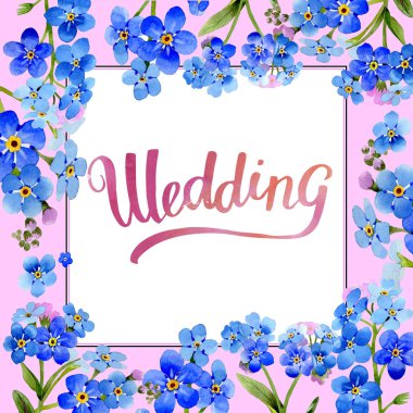 Kır çiçeği myosotis arvensis çiçek çerçeve izole bir suluboya tarzında.