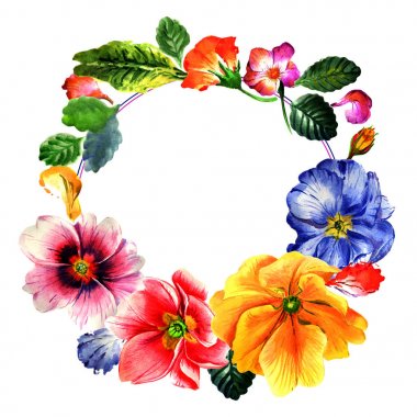 Kır çiçeği çuha çiçeği çiçek çelenk izole bir suluboya tarzında.