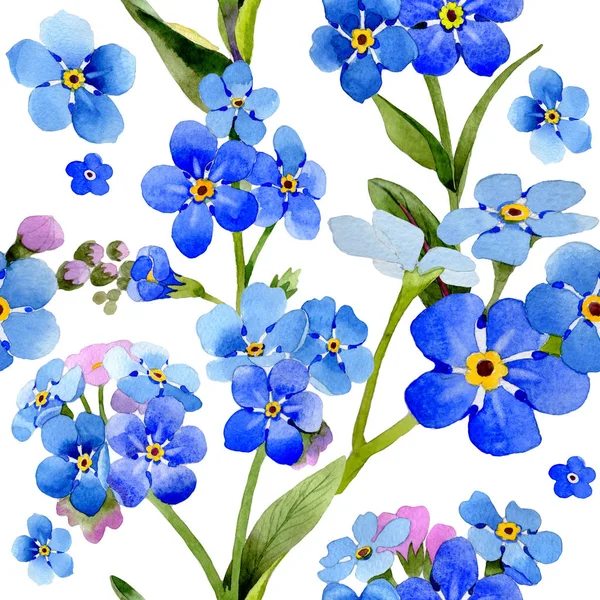 Wildflower myosotis arvensis flor padrão em um estilo aquarela isolado . — Fotografia de Stock