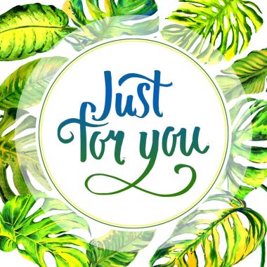 Tropikal Hawaii palmiye ağacı çerçeve izole bir suluboya tarzında bırakır..