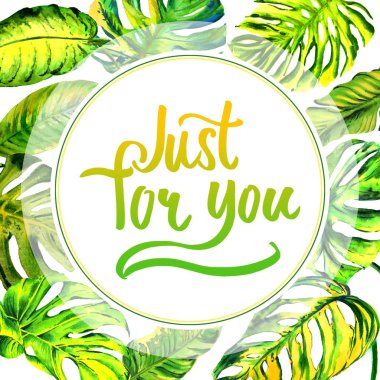 Tropikal Hawaii palmiye ağacı çerçeve izole bir suluboya tarzında bırakır..