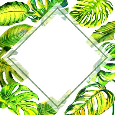 Tropikal Hawaii palmiye ağacı çerçeve izole bir suluboya tarzında bırakır..