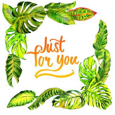 Tropikal Hawaii palmiye ağacı çerçeve izole bir suluboya tarzında bırakır..