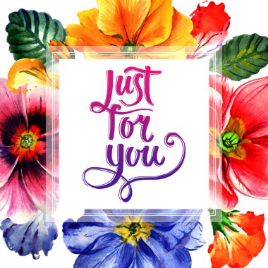 Kır çiçeği çuha çiçeği çiçek çerçeve izole bir suluboya tarzında.