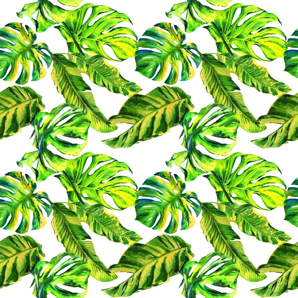 Tropical Hawaii leaves palm tree pattern in a watercolor style isolated. — Stock Photo, Image