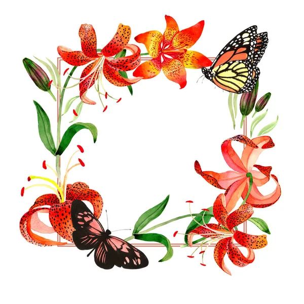 Wildflower leopard lily flower frame in a watercolor style isolated. — Stock Photo, Image