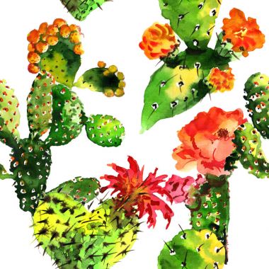 Tropikal kaktüs ağacında deseni izole bir suluboya tarzında.