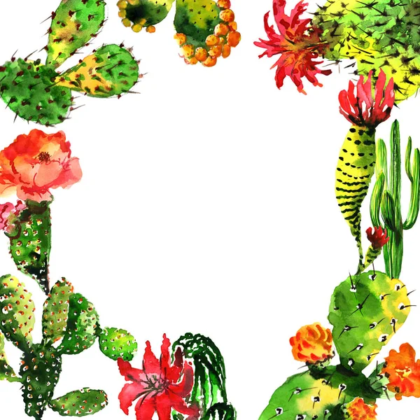 Cadre de cactus tropical dans un style aquarelle isolé . — Photo