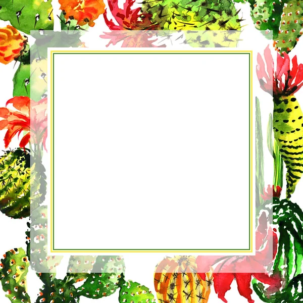 Tropical cactus tree frame in a watercolor style isolated. — Stock Photo, Image