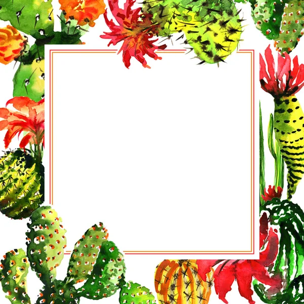 Тропічна рамка кактуса в акварельному стилі ізольована . — стокове фото