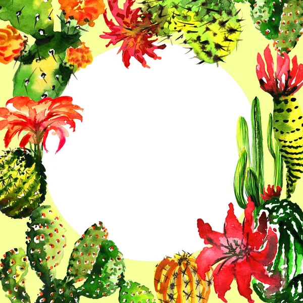 Тропічна рамка кактуса в акварельному стилі ізольована . — стокове фото