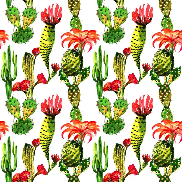 Patrón de árbol de cactus tropical en un estilo de acuarela aislado . —  Fotos de Stock