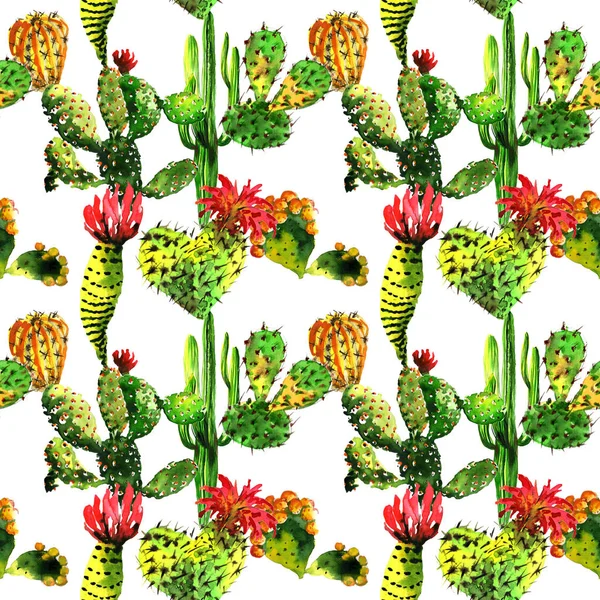 Modello di albero di cactus tropicale isolato in stile acquerello . — Foto Stock