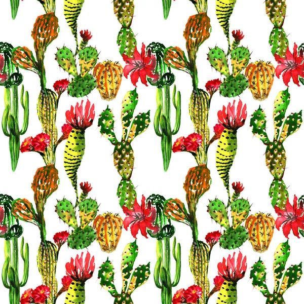 Tropical cactus tree pattern in a watercolor style isolated. — Stock Photo, Image