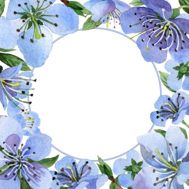 Kır çiçeği kiraz çiçek çerçeve izole bir suluboya tarzında.