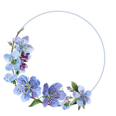 Kır çiçeği kiraz çiçek çerçeve izole bir suluboya tarzında.